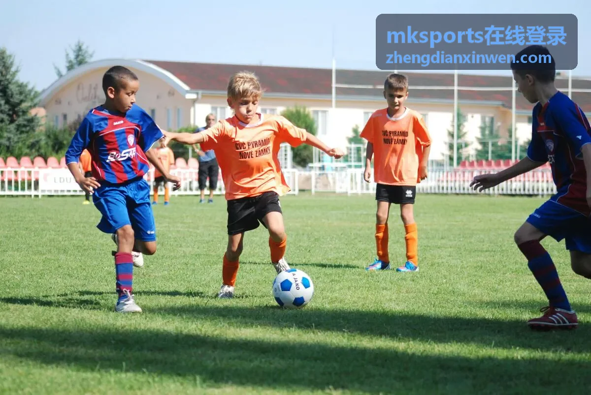 mksports在线登录 登录流程说明条目配图